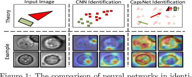 Figure 1 for Enabling Highly Efficient Capsule Networks Processing Through A PIM-Based Architecture Design