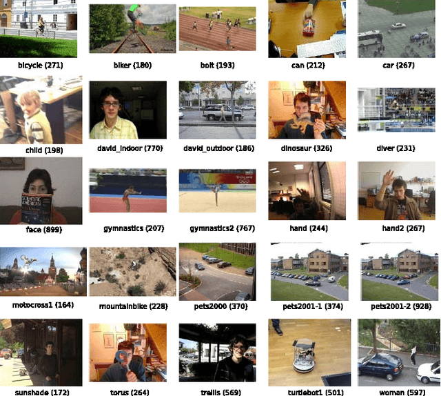 Figure 2 for Visual object tracking performance measures revisited