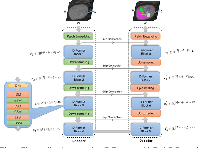 Figure 1 for D-Former: A U-shaped Dilated Transformer for 3D Medical Image Segmentation