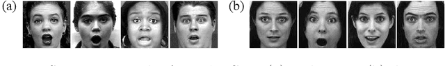 Figure 2 for A Sub-Layered Hierarchical Pyramidal Neural Architecture for Facial Expression Recognition