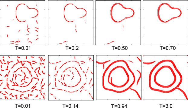 Figure 3 for Director Field Model of the Primary Visual Cortex for Contour Detection