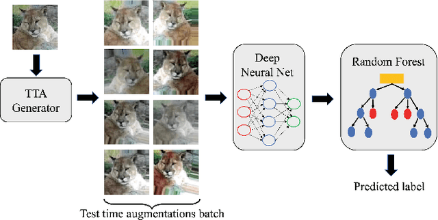 Figure 1 for KATANA: Simple Post-Training Robustness Using Test Time Augmentations