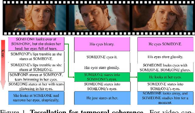 Figure 1 for Temporal Tessellation: A Unified Approach for Video Analysis