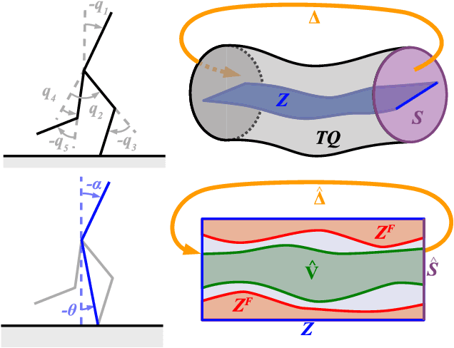 Figure 1 for Walking with Confidence: Safety Regulation for Full Order Biped Models