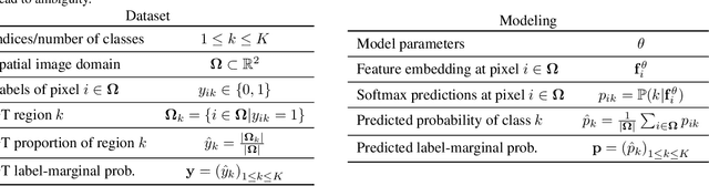 Figure 2 for The hidden label-marginal biases of segmentation losses