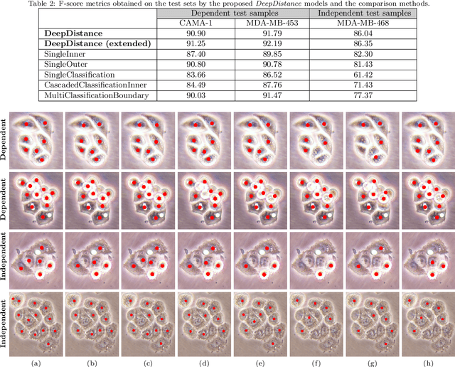 Figure 4 for DeepDistance: A Multi-task Deep Regression Model for Cell Detection in Inverted Microscopy Images