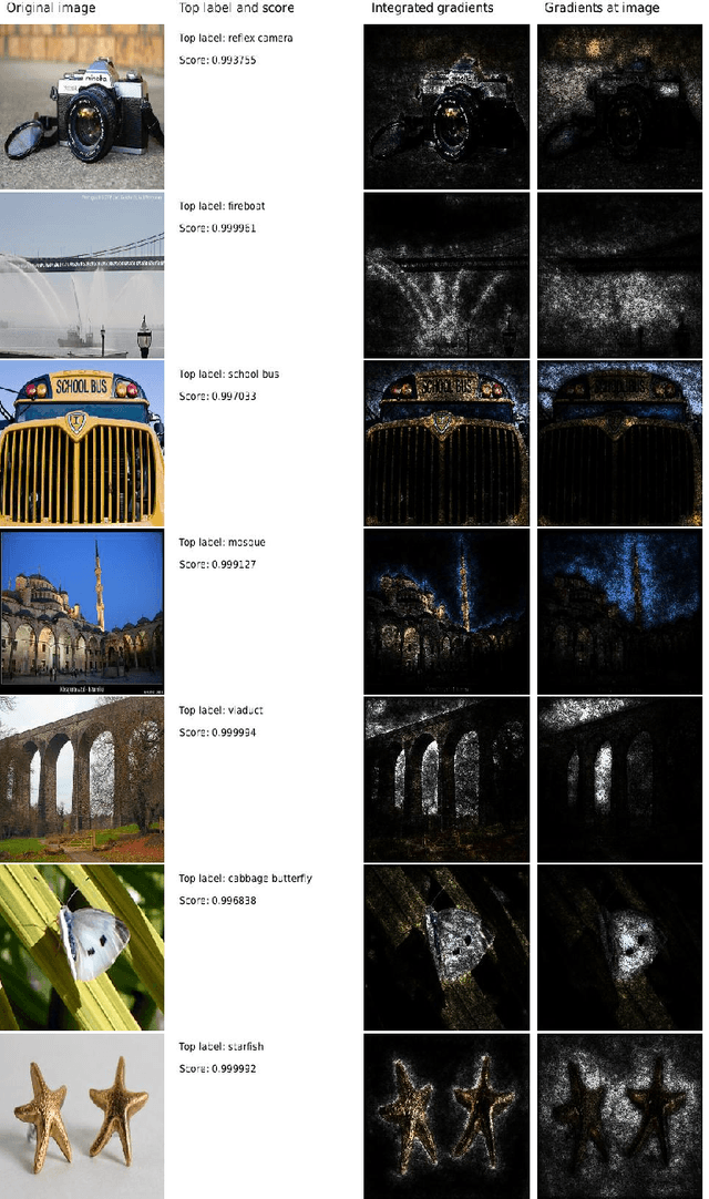 Figure 4 for Gradients of Counterfactuals