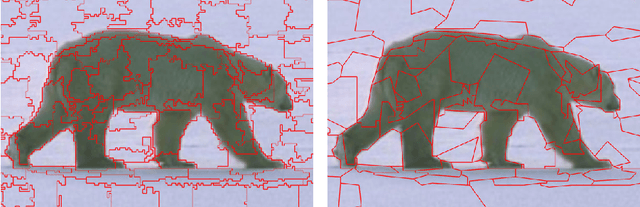 Figure 1 for Resolution-independent meshes of super pixels