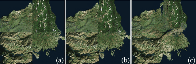 Figure 3 for TileGAN: Synthesis of Large-Scale Non-Homogeneous Textures
