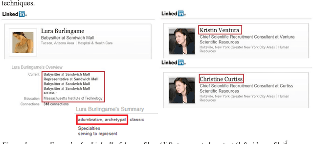 Figure 1 for Identifying Fake Profiles in LinkedIn