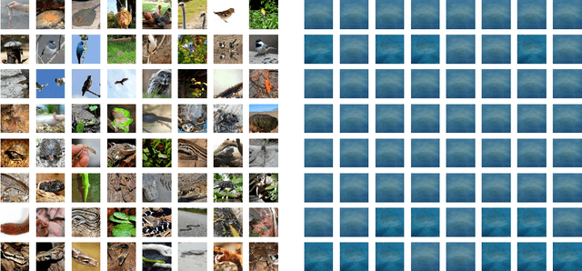 Figure 1 for Robbing the Fed: Directly Obtaining Private Data in Federated Learning with Modified Models