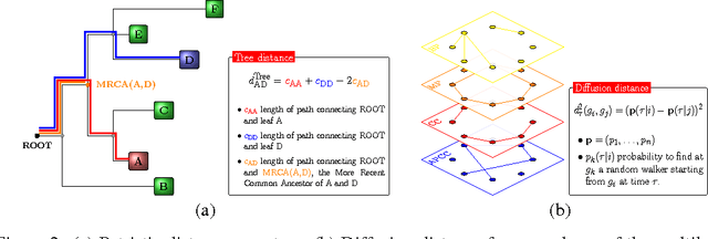 Figure 3 for Convolutional neural networks for structured omics: OmicsCNN and the OmicsConv layer