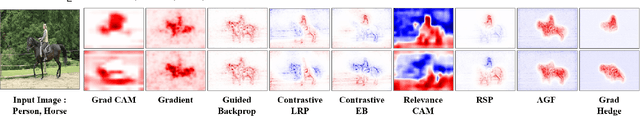 Figure 1 for Gradient Hedging for Intensively Exploring Salient Interpretation beyond Neuron Activation