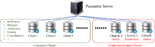 Figure 1 for Learning Underrepresented Classes from Decentralized Partially Labeled Medical Images