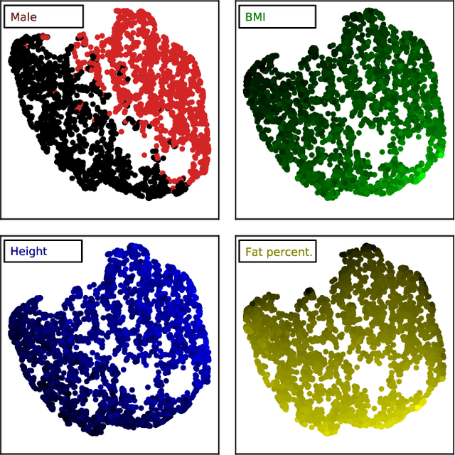 Figure 2 for Large-scale biometry with interpretable neural network regression on UK Biobank body MRI