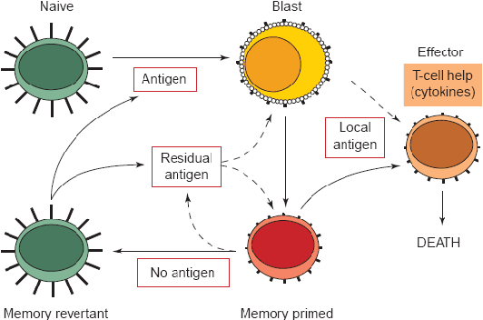 Figure 1 for Price Trackers Inspired by Immune Memory