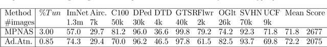 Figure 4 for Memory Efficient Adaptive Attention For Multiple Domain Learning