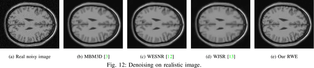 Figure 4 for Mixed Noise Removal with Pareto Prior