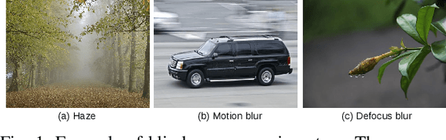 Figure 1 for DeepBlindness: Fast Blindness Map Estimation and Blindness Type Classification for Outdoor Scene from Single Color Image