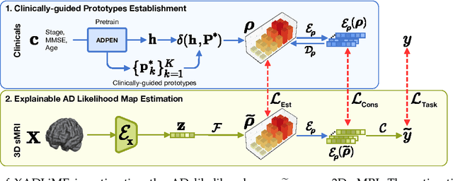 Figure 4 for XADLiME: eXplainable Alzheimer's Disease Likelihood Map Estimation via Clinically-guided Prototype Learning