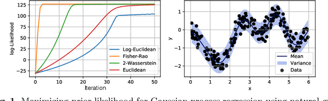 Figure 1 for A Formalization of The Natural Gradient Method for General Similarity Measures