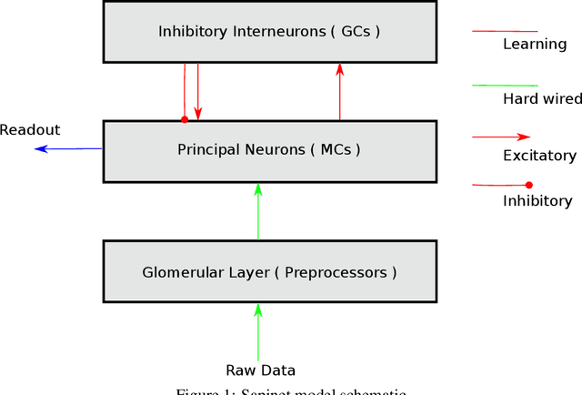 Figure 1 for Sapinet: A sparse event-based spatiotemporal oscillator for learning in the wild