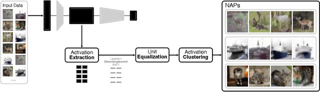 Figure 2 for Neural Activation Patterns (NAPs): Visual Explainability of Learned Concepts