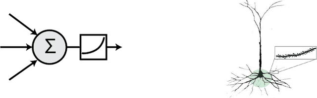Figure 1 for Avoiding Catastrophe: Active Dendrites Enable Multi-Task Learning in Dynamic Environments