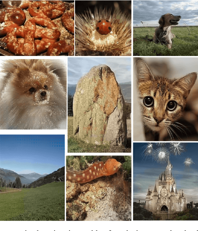 Figure 1 for TUCaN: Progressively Teaching Colourisation to Capsules