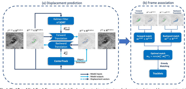 Figure 1 for A Deep Learning Bidirectional Temporal Tracking Algorithm for Automated Blood Cell Counting from Non-invasive Capillaroscopy Videos