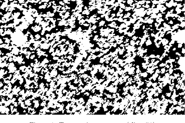 Figure 1 for An efficient optimization based microstructure reconstruction approach with multiple loss functions