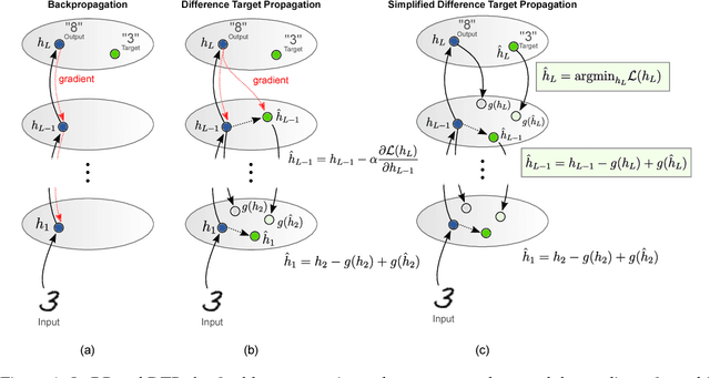 Figure 1 for Assessing the Scalability of Biologically-Motivated Deep Learning Algorithms and Architectures