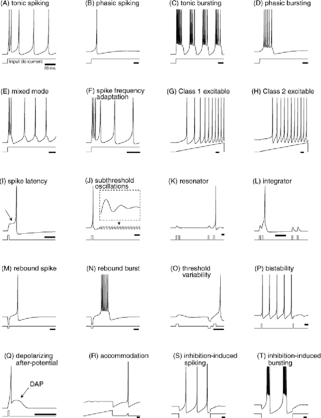 Figure 4 for Improvement of the Izhikevich model based on the rat basolateral amygdala and hippocampus neurons, and recognition of their possible firing patterns