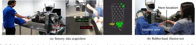 Figure 2 for Sensorimotor learning for artificial body perception