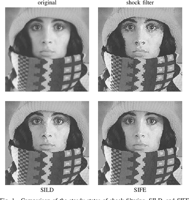 Figure 1 for Stabilised Inverse Flowline Evolution for Anisotropic Image Sharpening
