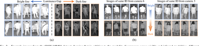 Figure 2 for Towards Homogeneous Modality Learning and Multi-Granularity Information Exploration for Visible-Infrared Person Re-Identification