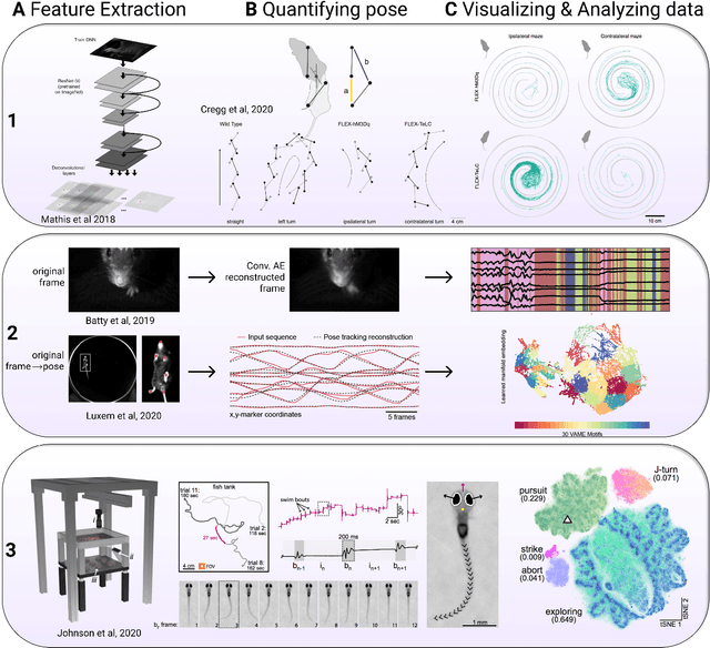 Figure 2 for Measuring and modeling the motor system with machine learning