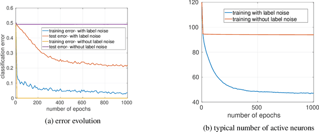 Figure 1 for Regularization by Misclassification in ReLU Neural Networks