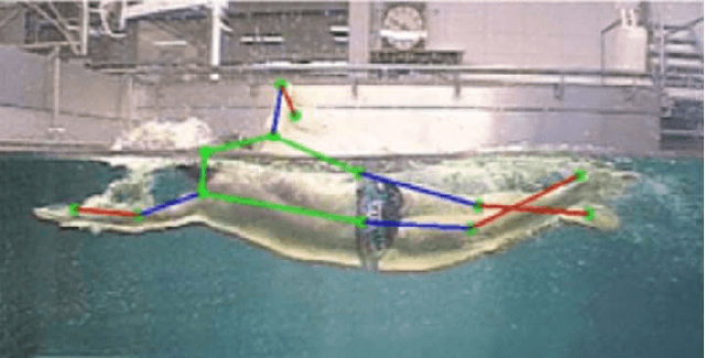 Figure 1 for Mining Automatically Estimated Poses from Video Recordings of Top Athletes