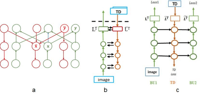 Figure 4 for Image interpretation by iterative bottom-up top-down processing