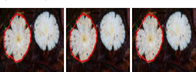 Figure 1 for Multiple Convex Objects Image Segmentation via Proximal Alternating Direction Method of Multipliers
