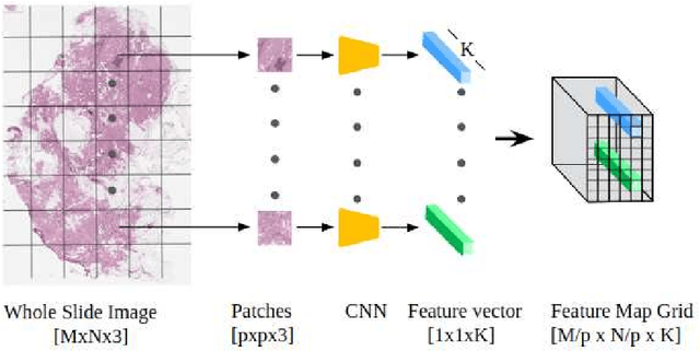 Figure 1 for Gigapixel Histopathological Image Analysis using Attention-based Neural Networks