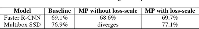 Figure 4 for Mixed Precision Training