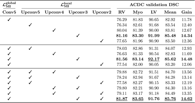 Figure 4 for Boosting Semi-supervised Image Segmentation with Global and Local Mutual Information Regularization