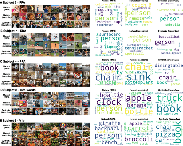 Figure 3 for NeuroGen: activation optimized image synthesis for discovery neuroscience