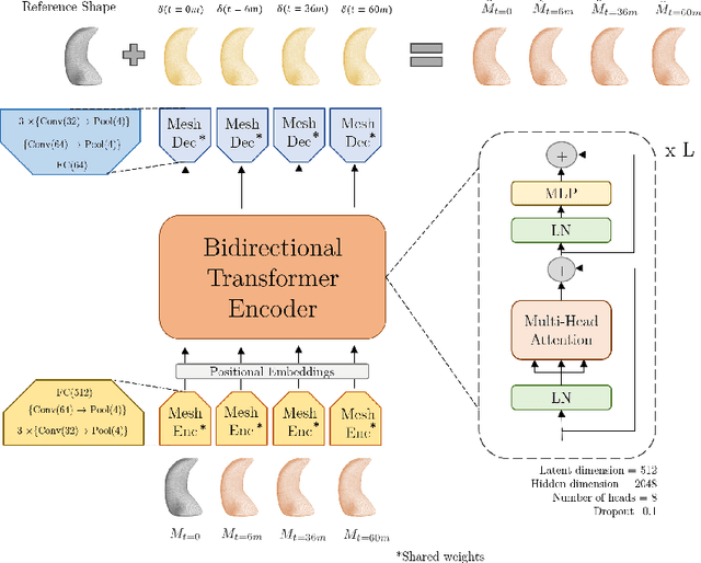 Figure 1 for TransforMesh: A Transformer Network for Longitudinal modeling of Anatomical Meshes