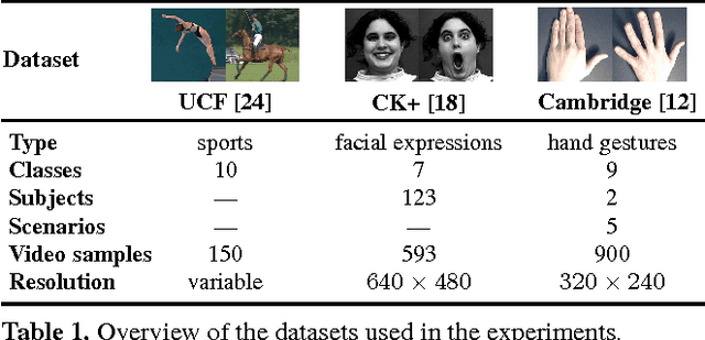 Figure 2 for Spatio-Temporal Covariance Descriptors for Action and Gesture Recognition