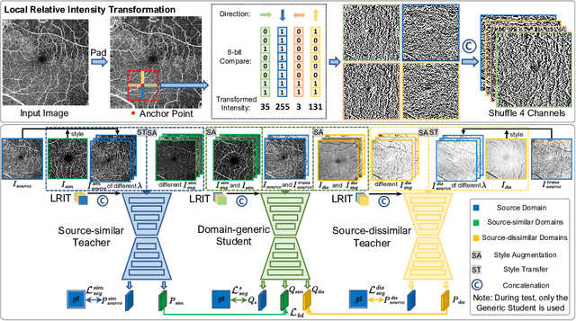 Figure 1 for Student Become Decathlon Master in Retinal Vessel Segmentation via Dual-teacher Multi-target Domain Adaptation
