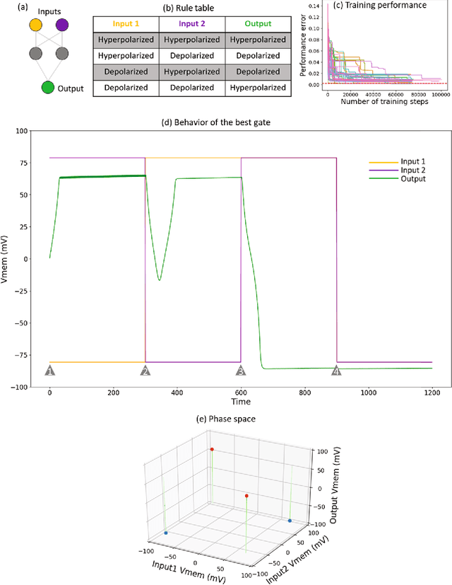 Figure 3 for Modeling somatic computation with non-neural bioelectric networks