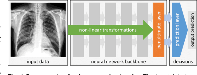 Figure 1 for Algorithmic encoding of protected characteristics and its implications on disparities across subgroups